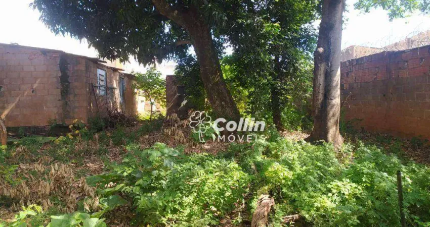 Terreno, 888 m² - venda por R$ 230.000,00 ou aluguel por R$ 1.500,00/mês - Nossa Senhora da Abadia - Uberaba/MG