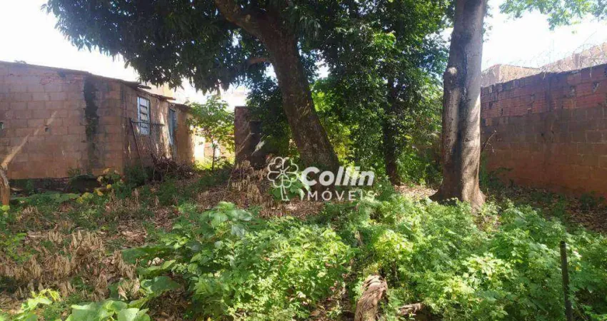 Terreno, 888 m² - venda por R$ 230.000,00 ou aluguel por R$ 1.500,00/mês - Nossa Senhora da Abadia - Uberaba/MG