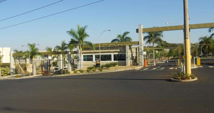 Apartamentos Padrão em Ribeirão Preto