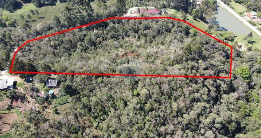 Terreno no bairro mandassaia 24.000m² valor 450.000,00 próximo pesque e pague giacomitti e a igreja do mandassaia