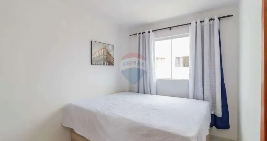 Apartamento 02 quartos - Venda - Afonso pena , São José Dos Pinhais