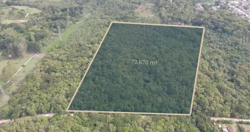 Entre a natureza e a cidade: 72.670 m² para quem enxerga além do óbvio