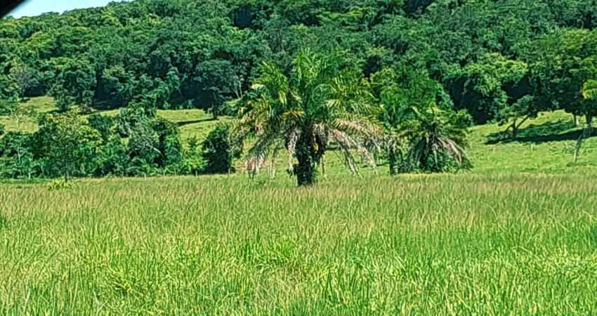 Fazenda a venda em mato grosso municipio de pedra preta., proximo asfalto.