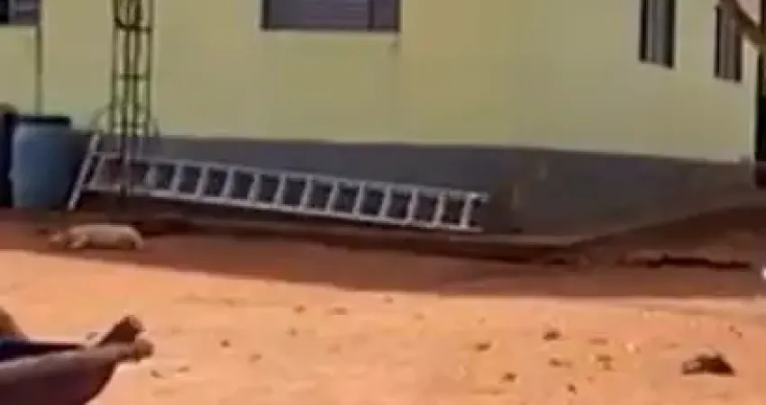 Fazenda à venda município apore , 20 alqueires , dupla aptidão.