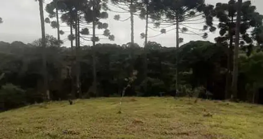 Chácara / sítio à venda no Estiva, Bocaiúva do Sul 