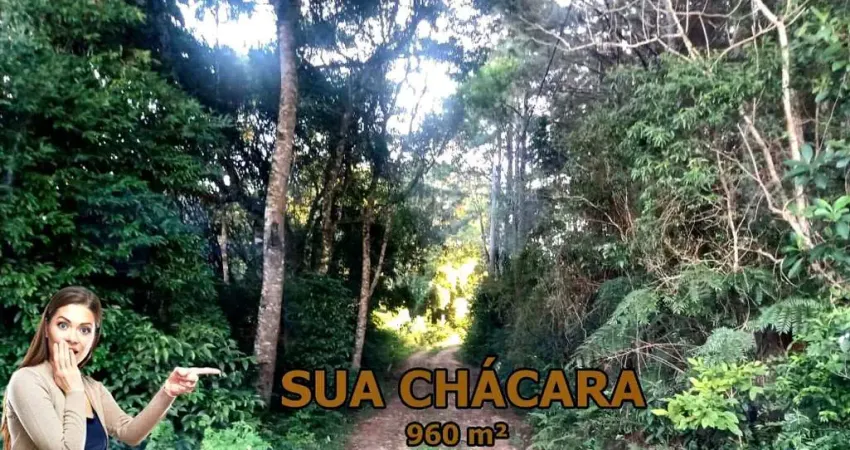 Chácara / sítio à venda no Centro, Bocaiúva do Sul 