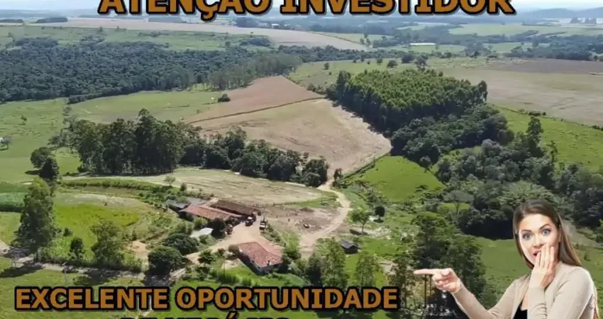 Chácara / sítio à venda no Vila Guay, Ibaiti 