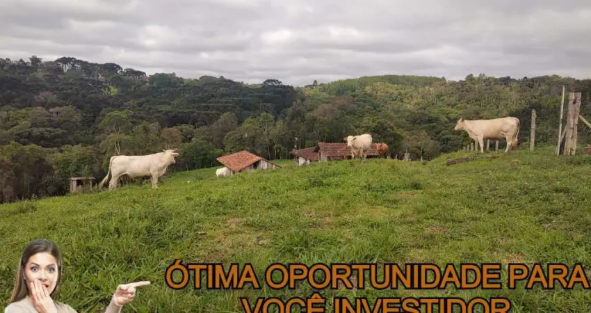 Chácara / sítio à venda na Zona Rural, Bocaiúva do Sul 