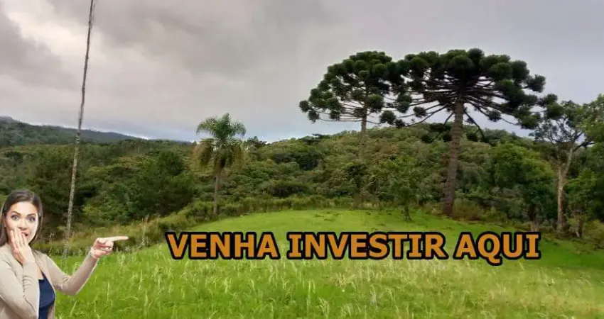 Chácara / sítio à venda na Zona Rural, Bocaiúva do Sul 