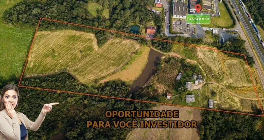 Terreno à venda na Rodovia BR-376, Ouro Fino, São José dos Pinhais
