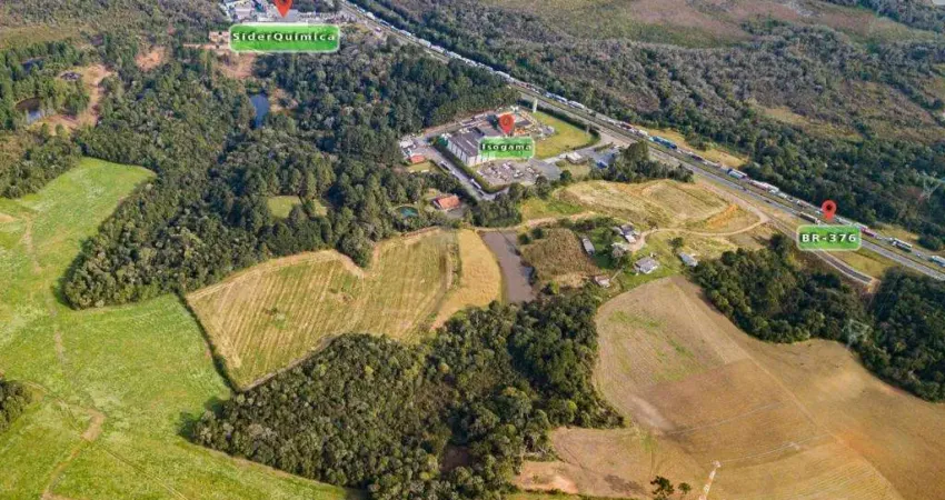 Terreno comercial à venda na Rodovia BR-376, Ouro Fino, São José dos Pinhais