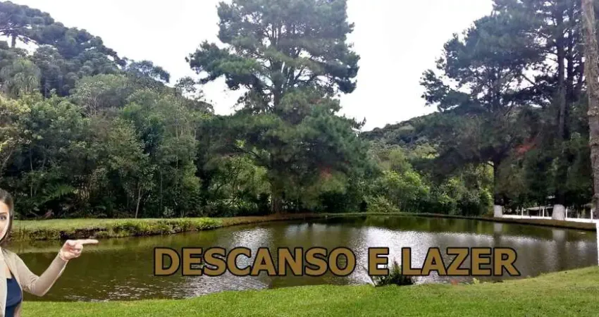 Chácara / sítio à venda na Zona Rural, Bocaiúva do Sul