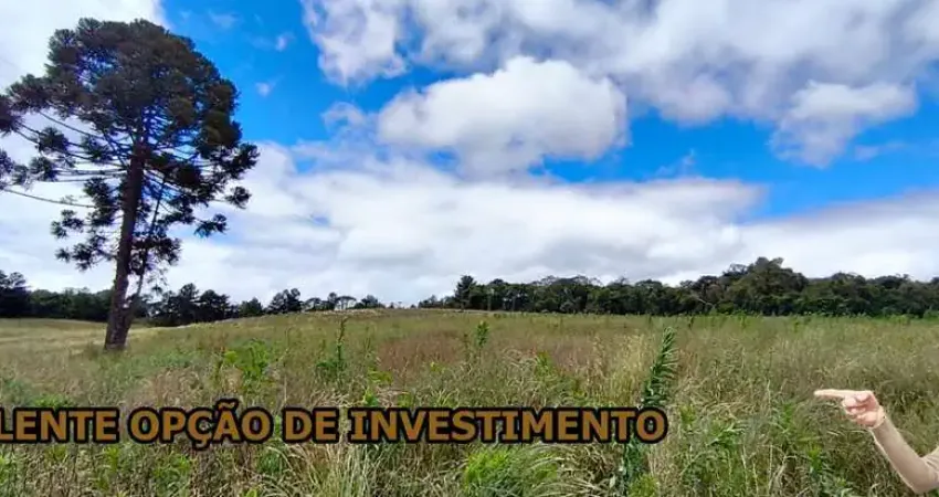 Chácara / sítio à venda na Rodovia José Taverna, Cacaiguera, Campina Grande do Sul