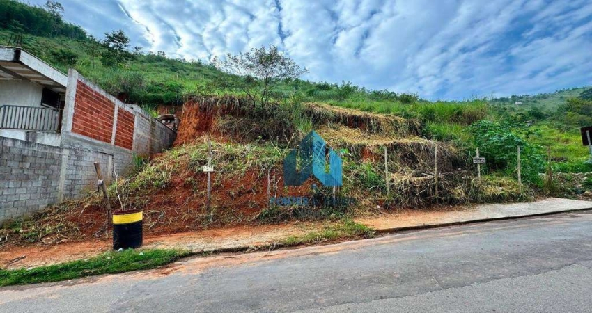 Terreno à venda, 400 m² por R$ 100.000,00 - Monte Castelo - Juiz de Fora/MG