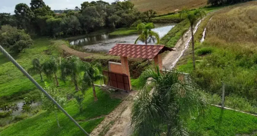 Chácara para Venda em Lapa, lapa