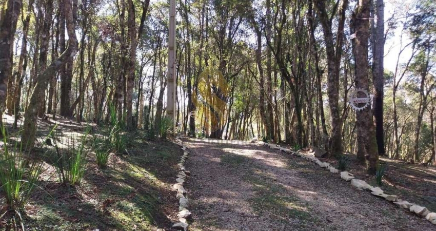 Chácara para Venda em Agudos do Sul, Centro, 8 dormitórios, 3 banheiros, 3 vagas