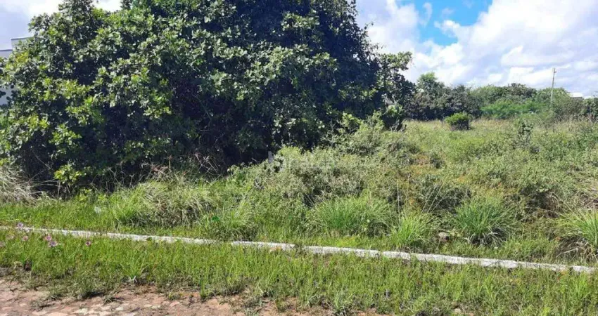 Lote/Terreno à venda, no bairro JOAO XXIII, Parnaiba/PI