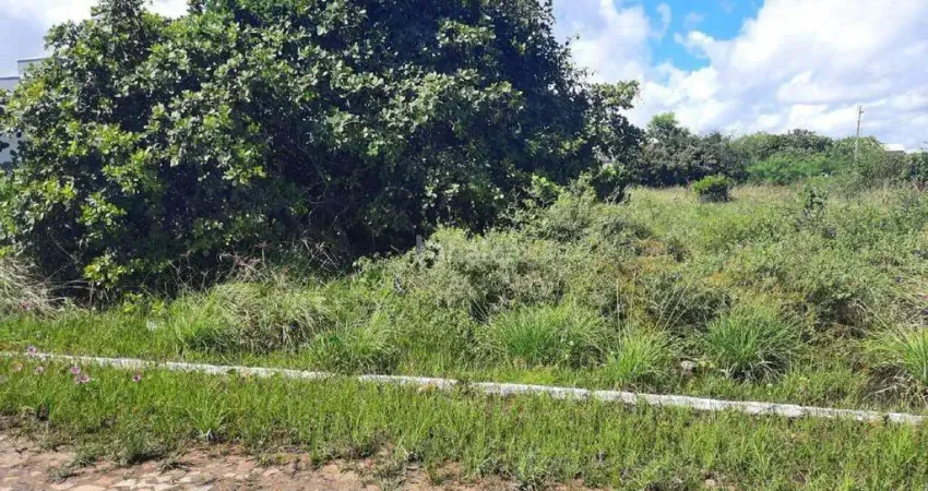 Lote/Terreno à venda, no bairro JOAO XXIII, Parnaiba/PI
