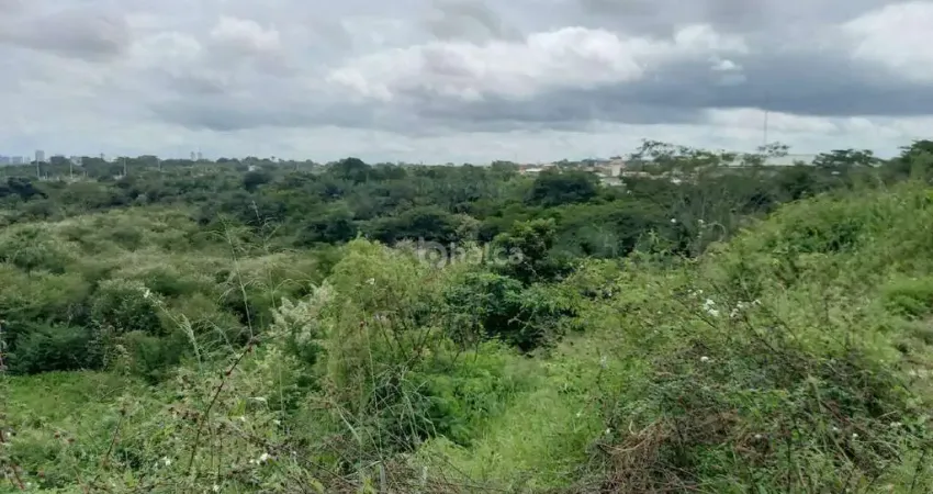 Terreno à venda na Avenida Deputado Paulo Ferraz, Beira Rio, Teresina