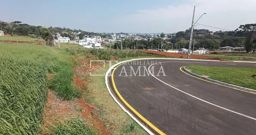 LOTES LOCALIZADOS NO BAIRRO CADORIN, REGIÃO NOBRE DE PATO BRANCO - PR