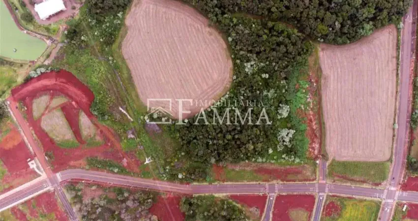 LOTES DISPONÍVEIS PARA VENDA NO BAIRRO SÃO LUIZ, PATO BRANCO - PR