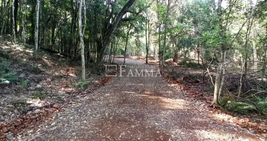Chácara / sítio à venda na Estrada Passo da Ilha, Zona Rural, Pato Branco