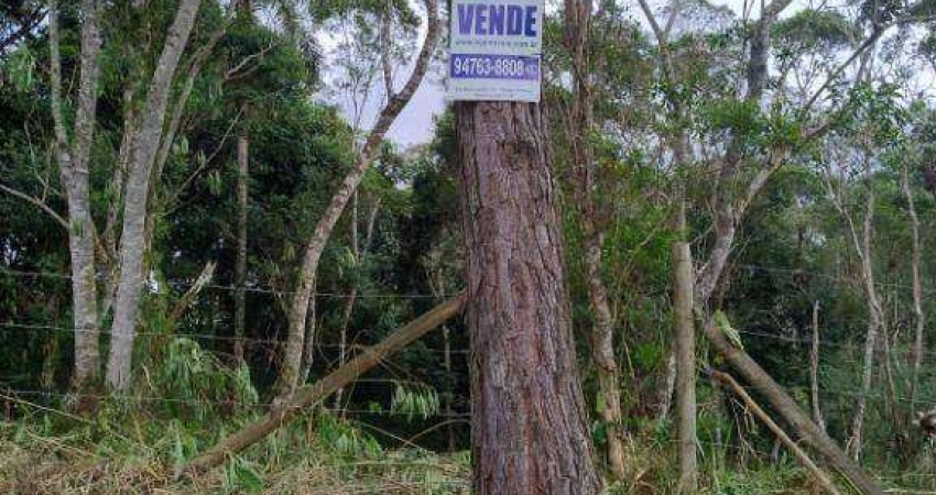 Terreno à venda, 925 m² por R$ 120.000,00 - Chácara Califórnia - Embu-Guaçu/SP