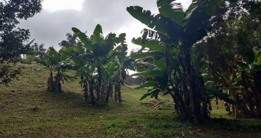 Chácara com 3 dormitórios à venda, 6300 m² por R$ 650.000,00 - Mombaça - Itapecerica da Serra/SP