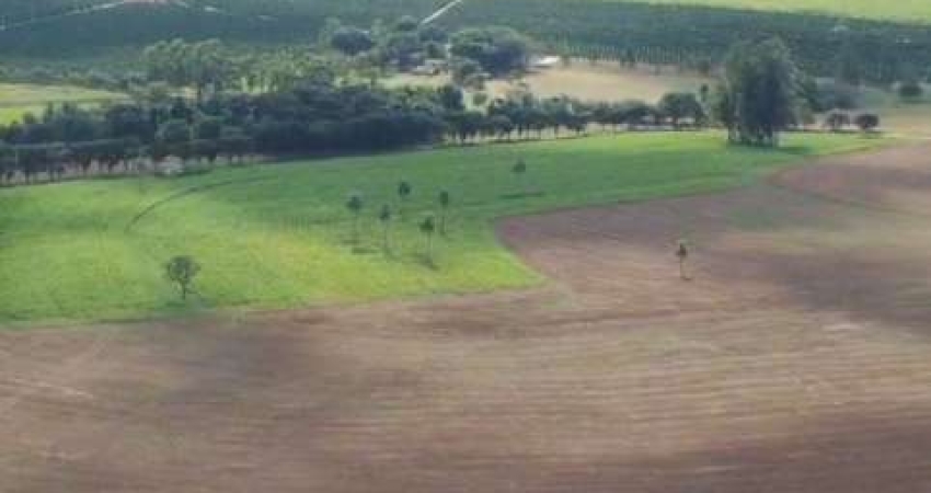 Fazenda à venda na Rua Alagoas, Centro, Avaré