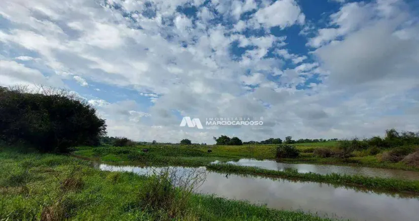 Sítio com 1 dormitório à venda, 103333 m² por R$ 2.100.000,00 - Rural - Olímpia/SP