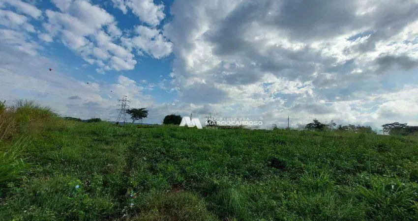 Sítio com 1 dormitório à venda, 81300 m² por R$ 2.625.000,00 - Rural - Olímpia/SP