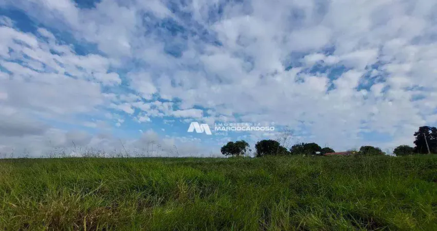 Sítio com 5 dormitórios à venda, 2 m² por R$ 3.000.000,00 - Rural - Olímpia/SP