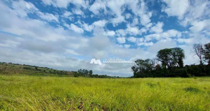 Sítio com 1 dormitório à venda, 101156 m² por R$ 3.500.000,00 - Rural - Olímpia/SP