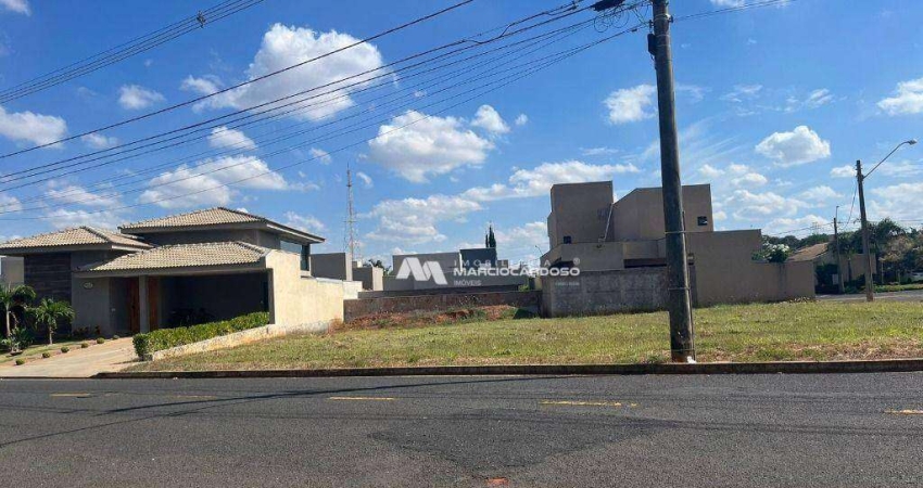 Terreno à venda, 400 m² por R$ 620.000,00 - Gaivota I - São José do Rio Preto/SP