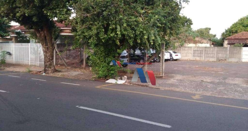 Terreno à venda, 1618 m² por R$ 5.000.000,00 - Centro - São José do Rio Preto/SP