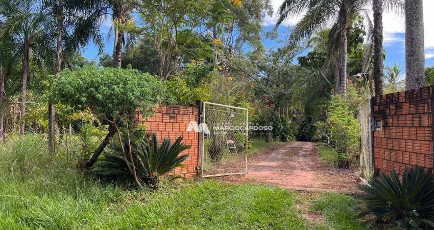 Chácara com 3 dormitórios à venda, 5000 m² por R$ 700.000,00 - Terra de São Lucas (Zona Rural) - São José do Rio Preto/SP