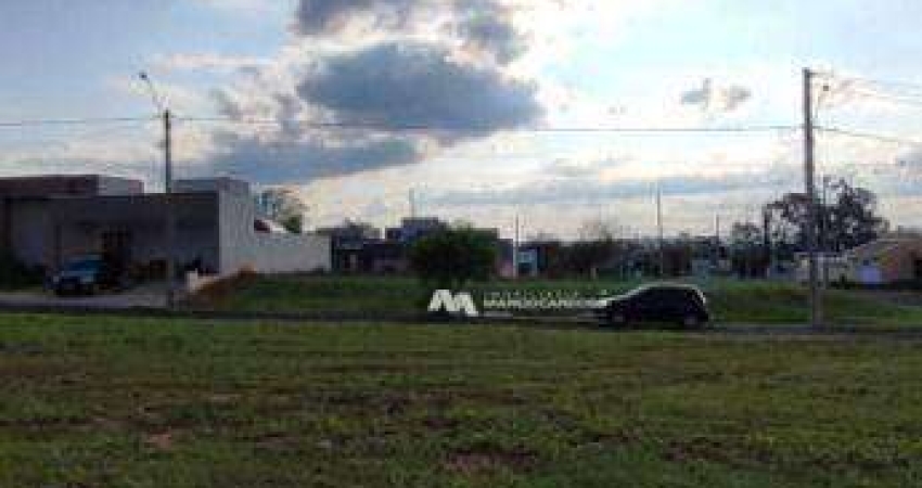 Terreno à venda, 253 m² por R$ 110.000,00 - Condomínio Bella Vitta - Bady Bassitt/SP