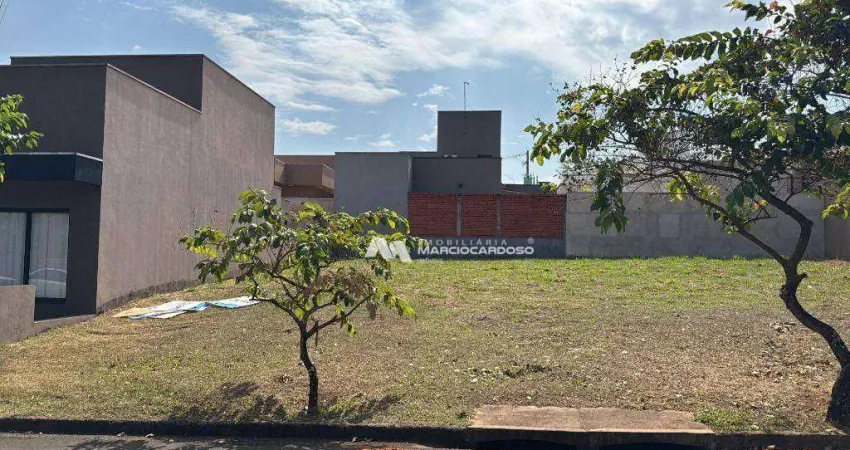 Terreno à venda, 231 m² por R$ 190.000,00 - Residencial Maza - São José do Rio Preto/SP
