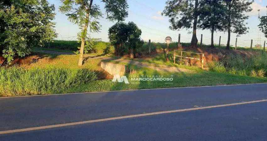 Sítio com 2 dormitórios à venda, 85114 m² por R$ 2.700.000,00 - Rural - Bady Bassitt/SP