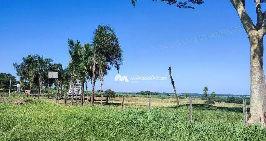 Sítio com 2 dormitórios à venda, 181500 m² por R$ 3.500.000,00 - Souza - Mirassol/SP