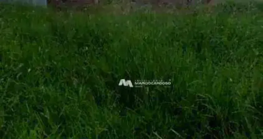Terreno à venda, 200 m² por R$ 80.000,00 - Parque Vila Nobre - São José do Rio Preto/SP