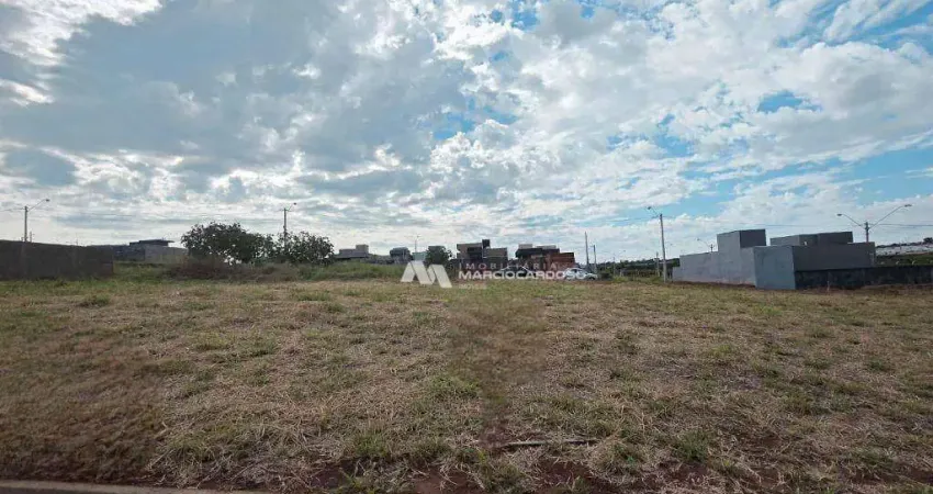 Terreno à venda, 200 m² por R$ 120.000,00 -  Centro (Engenheiro Schmitt) - São José do Rio Preto/SP