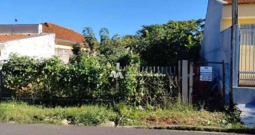 Terreno à venda, 220 m² por R$ 100.000,00 - Vila Falavina - São José do Rio Preto/SP
