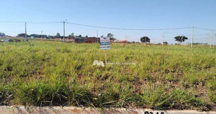 Terreno à venda, 200 m² por R$ 90.000,00 - Centro - Bady Bassitt/SP