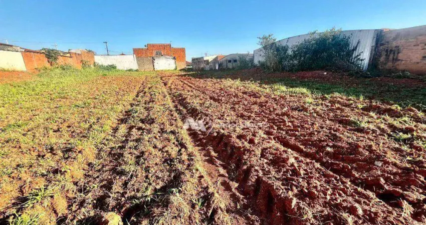 Terreno à venda, 755 m² por R$ 225.000,00 - Centro - Bálsamo/SP