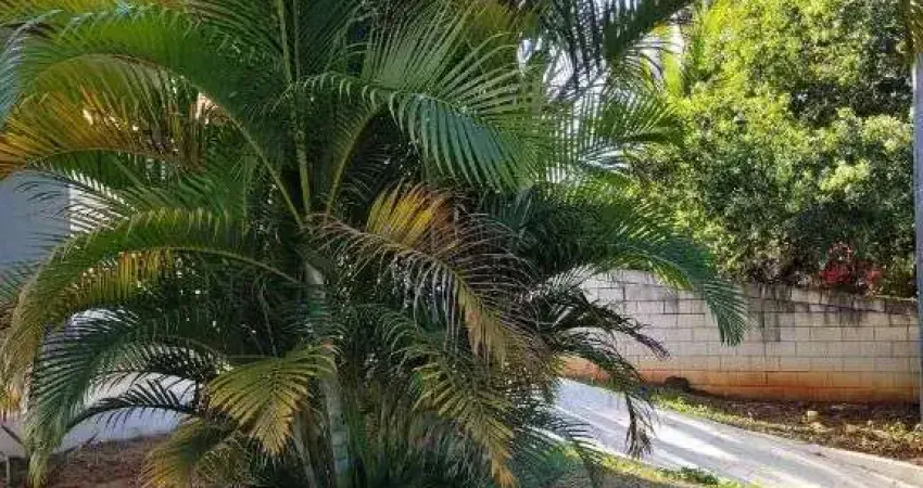 Casa em condomínio fechado com 3 quartos para alugar na Chácara São Rafael, Campinas 