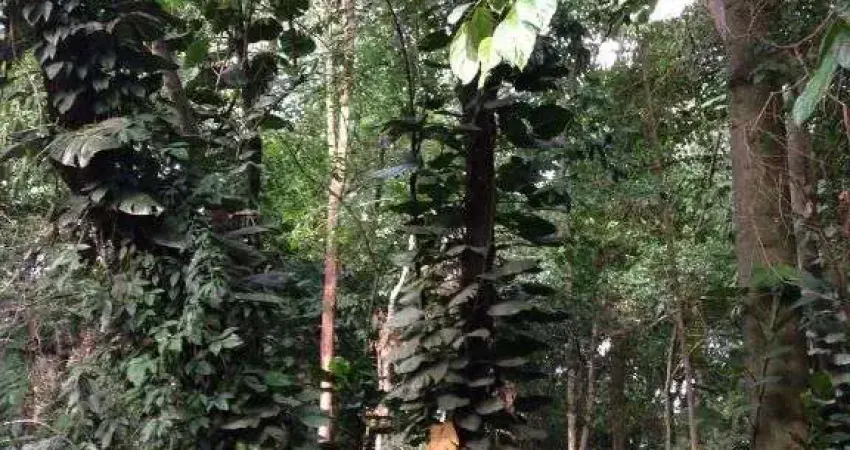 Terreno em condomínio fechado à venda no Jardim Santana, Campinas 