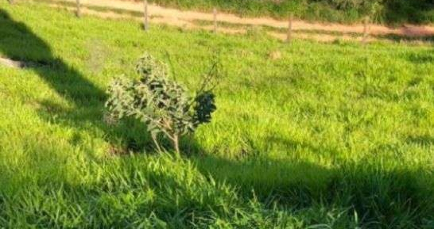 Terreno comercial à venda no Joaquim Egídio, Campinas 