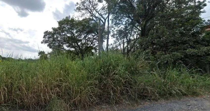 Terreno comercial para alugar no Parque Rural Fazenda Santa Cândida, Campinas 