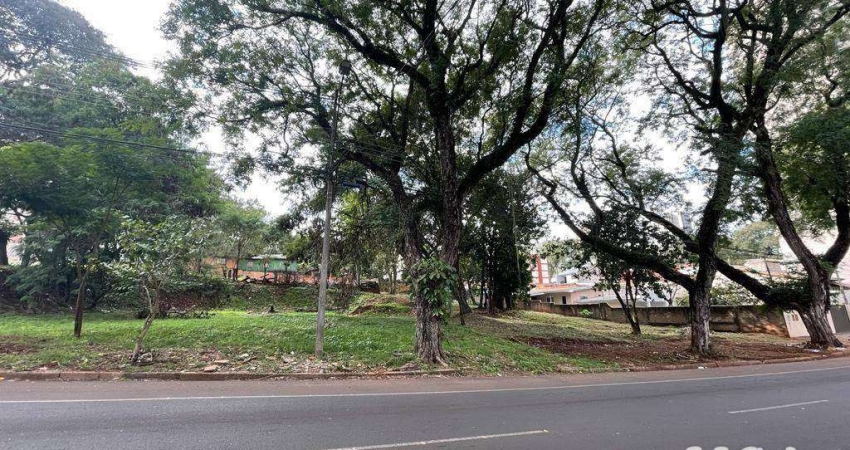 Terreno à venda, 1000 m² por R$ 1.100.000,00 - Centro - Foz do Iguaçu/PR